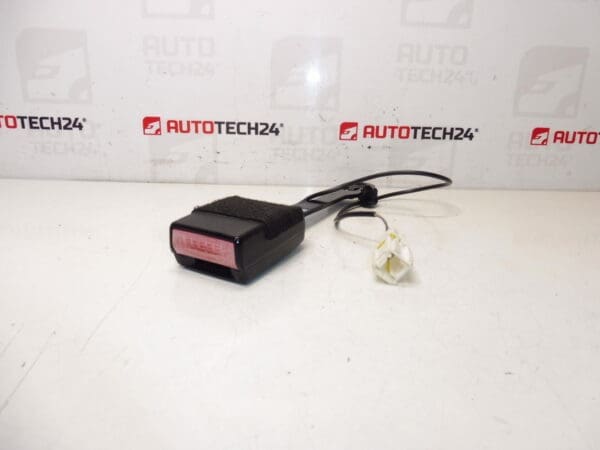 Titular de pasaporte de pasajeros Peugeot 407 8973PV