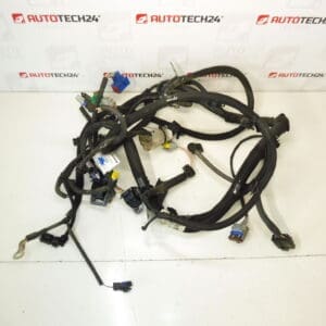 Arnés motor Citroën C3 II 1.4i KFT 9674808180 9675247080