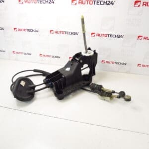 Peugeot 207 9685232980 2400JZ SHIFT PALEVER