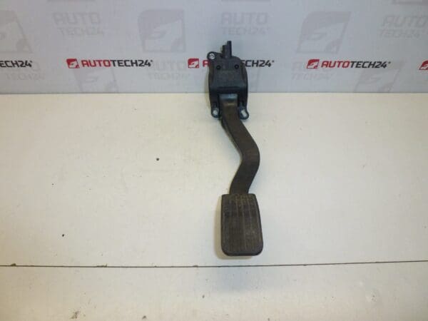 Pedal Acelerador Citroën Peugeot 0280755084 9680756880 1601AW