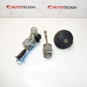 Caja de interruptor y bloqueo Configure una llave Citroën C3 Picasso 4162SV