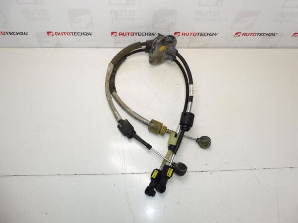 Citroën Peugeot 9672434480 2444HW cambiando los teleféricos
