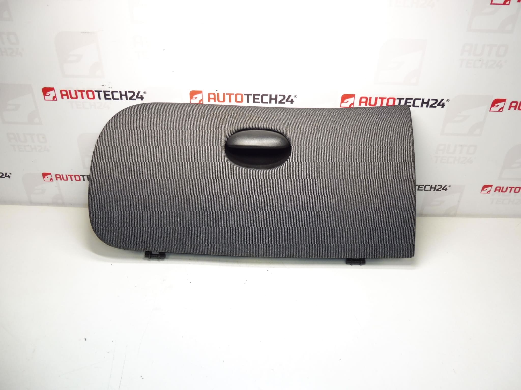 Tapa de guantera Peugeot 206 96841349CY 8218VH
