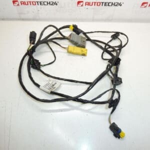 Arnés PDC delantero Peugeot 3008 9665290080 9677246380 6584Z4