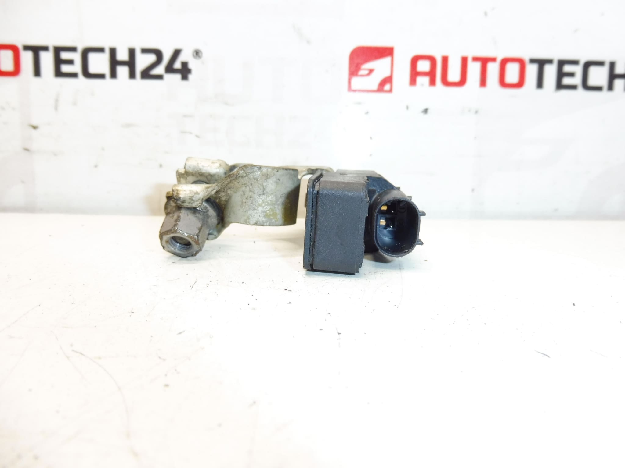 Bosch Citroën Peugeot 9838135480 unidad de carga de batería - Imagen 2