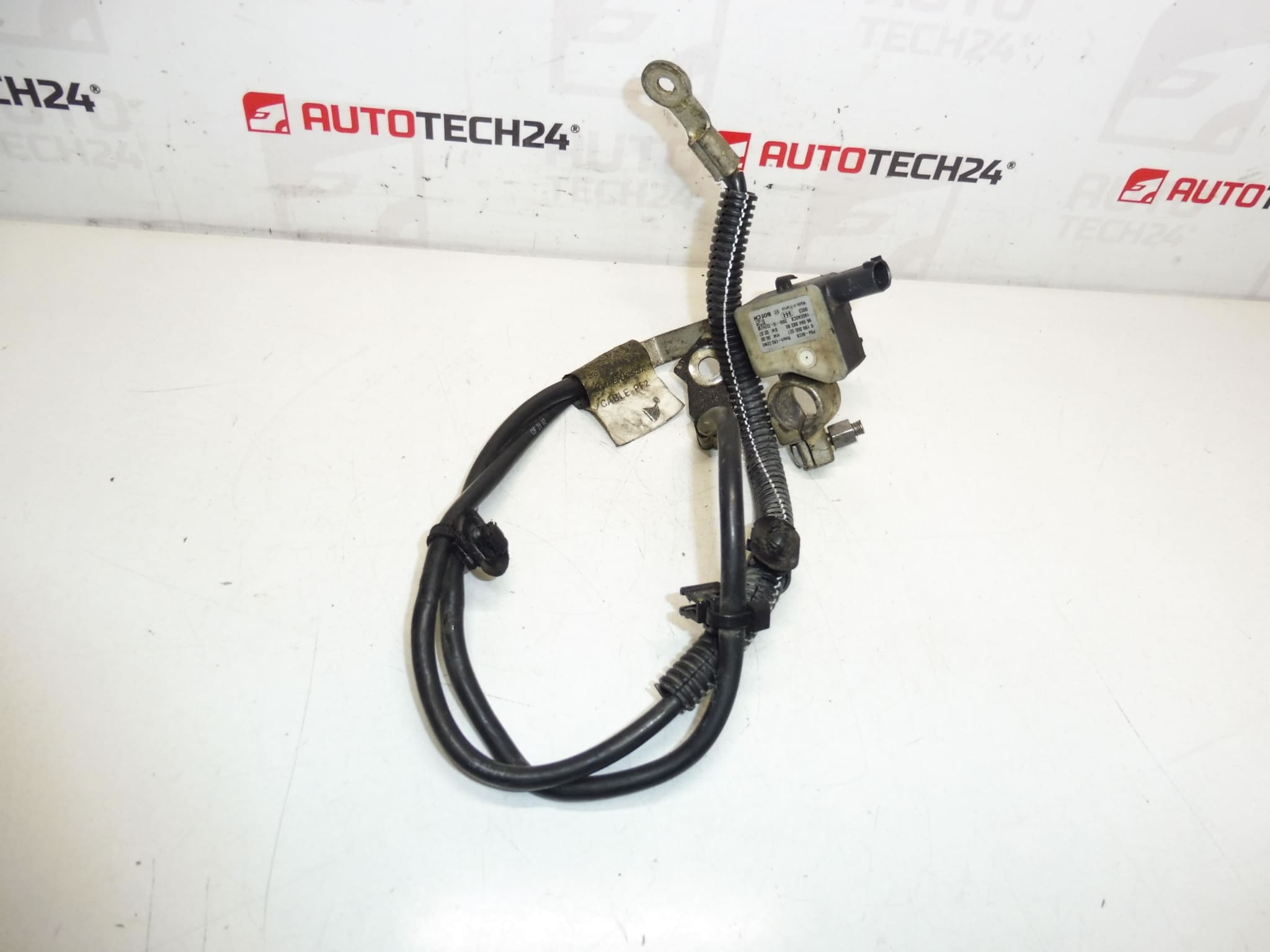 Cable polo negativo Citroën Peugeot 2.0HDI 9672544480 9666488380